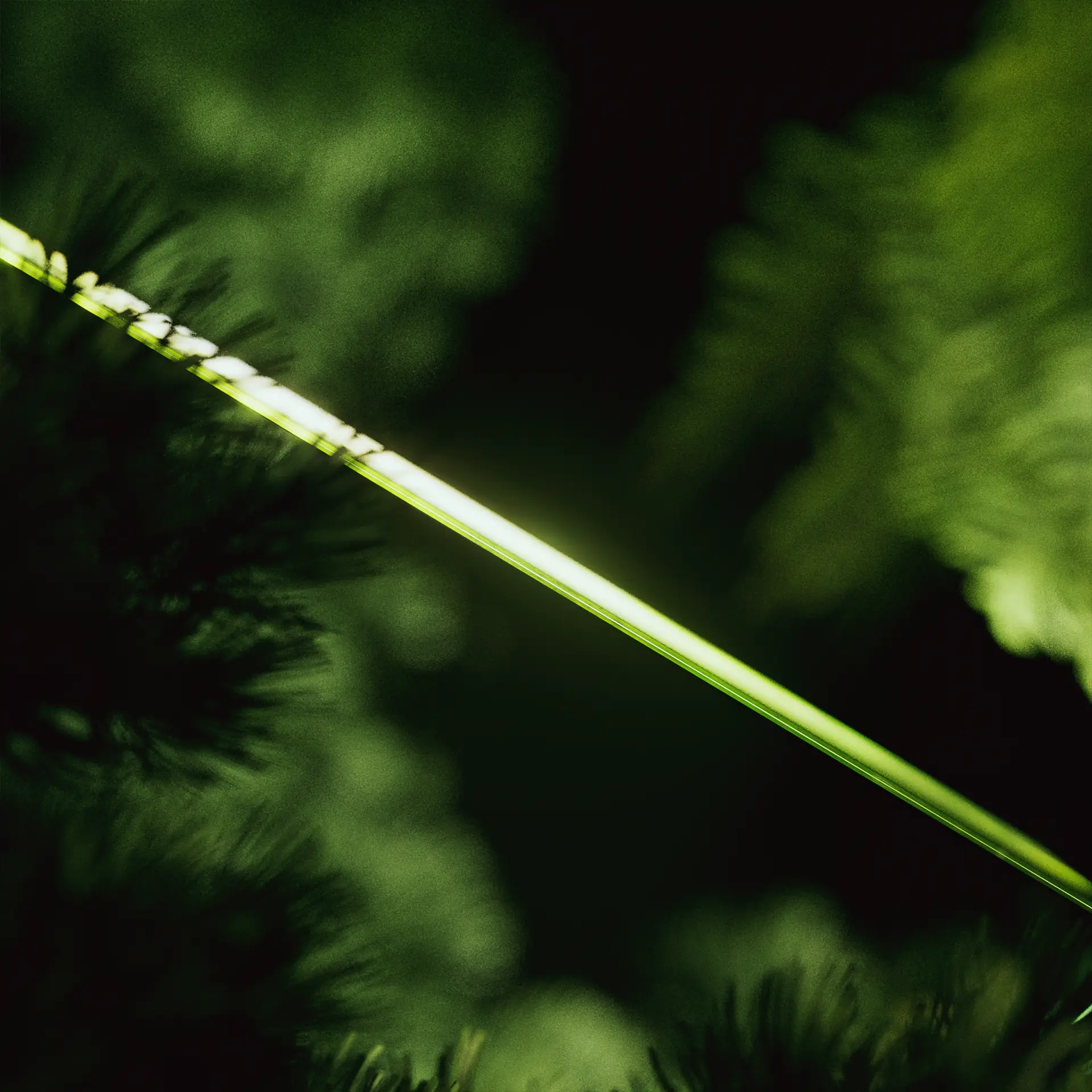 Midori Sojourn Glasspad